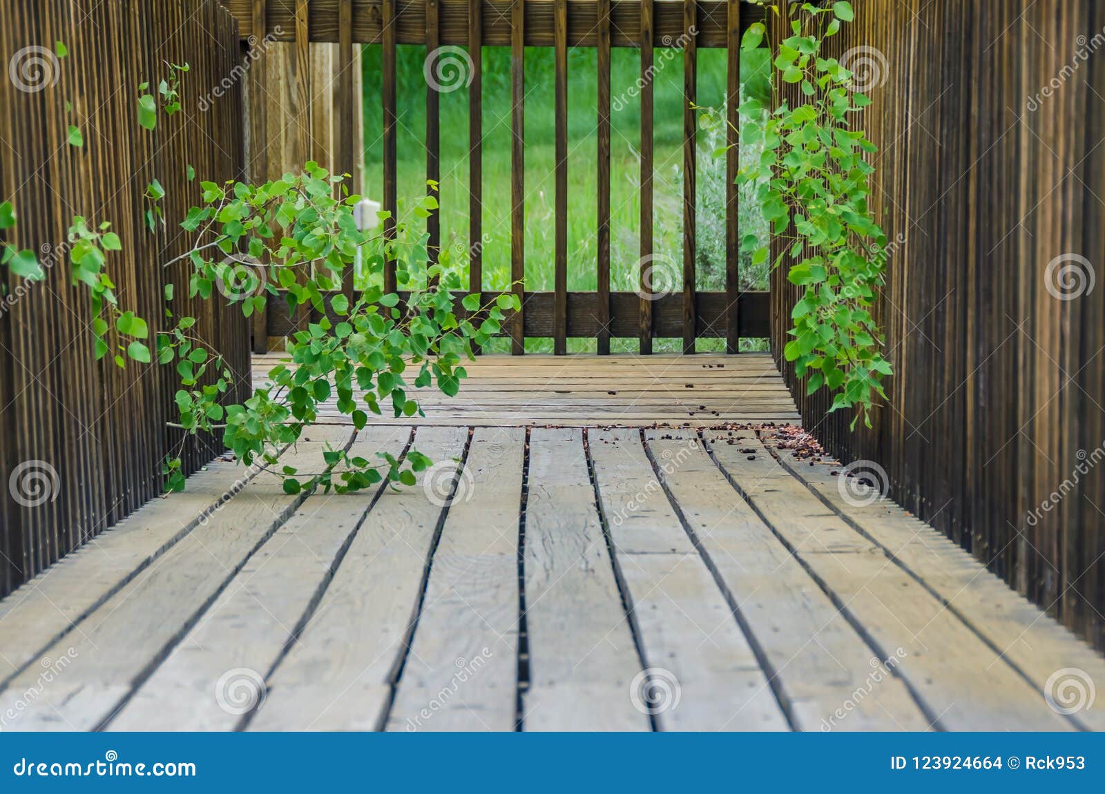 walking along summerÃ¢â¬â¢s wooden garden walkway